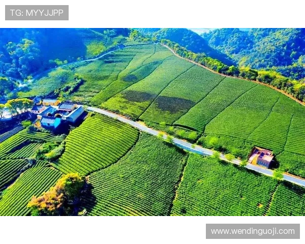 开云体育下载无法打开如何解决?专家提供多种实用方法帮助用户排除软件故障